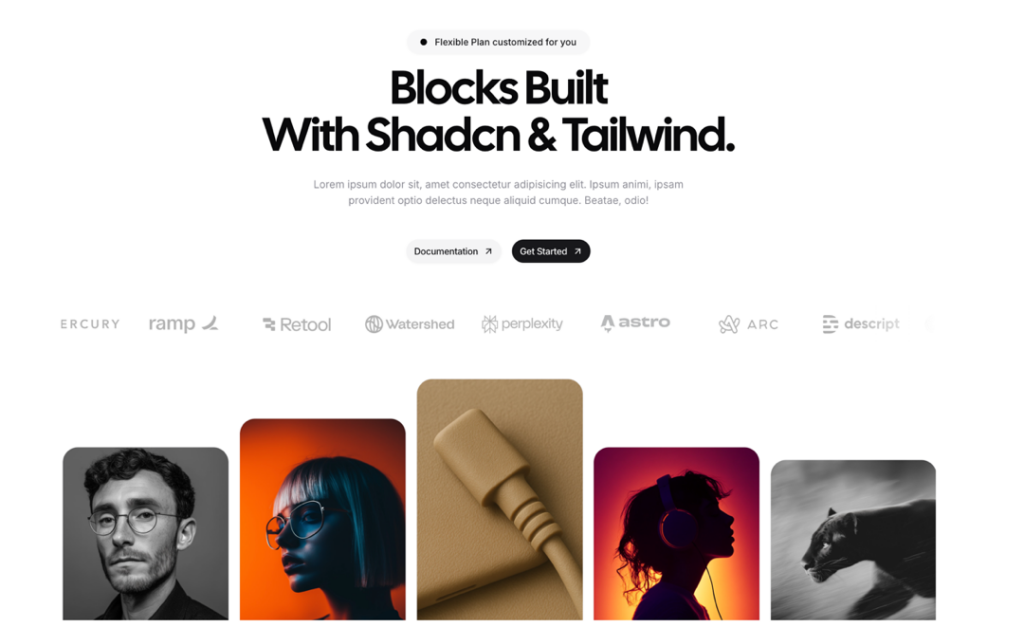 Shadcnblocks Image 1